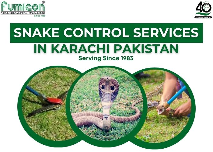 Snake Control Services In Karachi Pakistan
